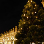 Der "offizielle" Weihnachtsbaum Münsters, an der Lambertikirche