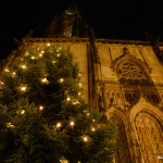 Lambertikirche mit 17 Meter hohem Weihnachtsbaum