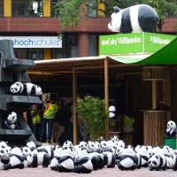 1600 Pandas in Münster